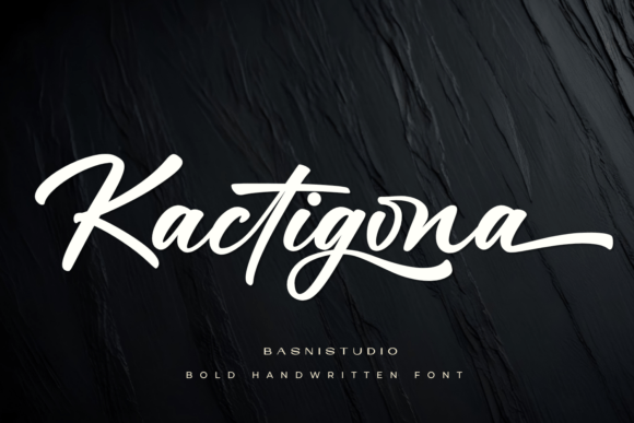 Kactigona: Injecting Bold Energy into Your Designs
