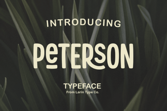 Peterson: A Display Sans Serif That Adapts to Your Creative Vision